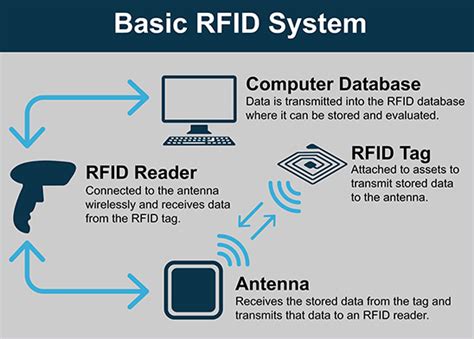 rfid 뜻: 디지털 시대의 신호등, RFID 기술의 미래는?